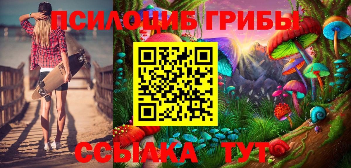 Галлюциногенные грибы мицелий  Вход с VPN  Балашиха  Псилоцибиновые грибы Cubensis 